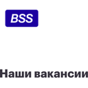 BSS