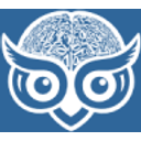 Wisebits Group